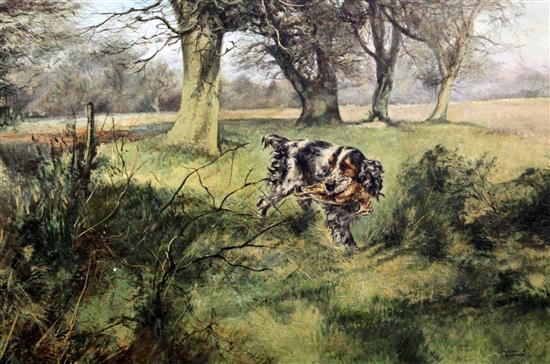 § Henry Wilkinson (1921-2011) Spaniel retrieving woodcock 20 x 30in.